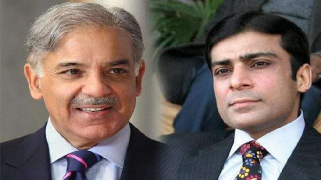 PML-N’s Hamza Shehbaz elected Chief Minister of Punjab with 197 votes