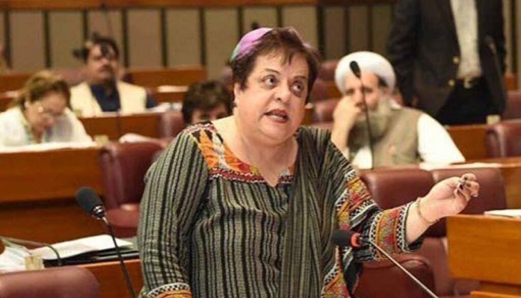 Shirin Mazari, Corona Vaccine, and PDM Shireen Mazari
