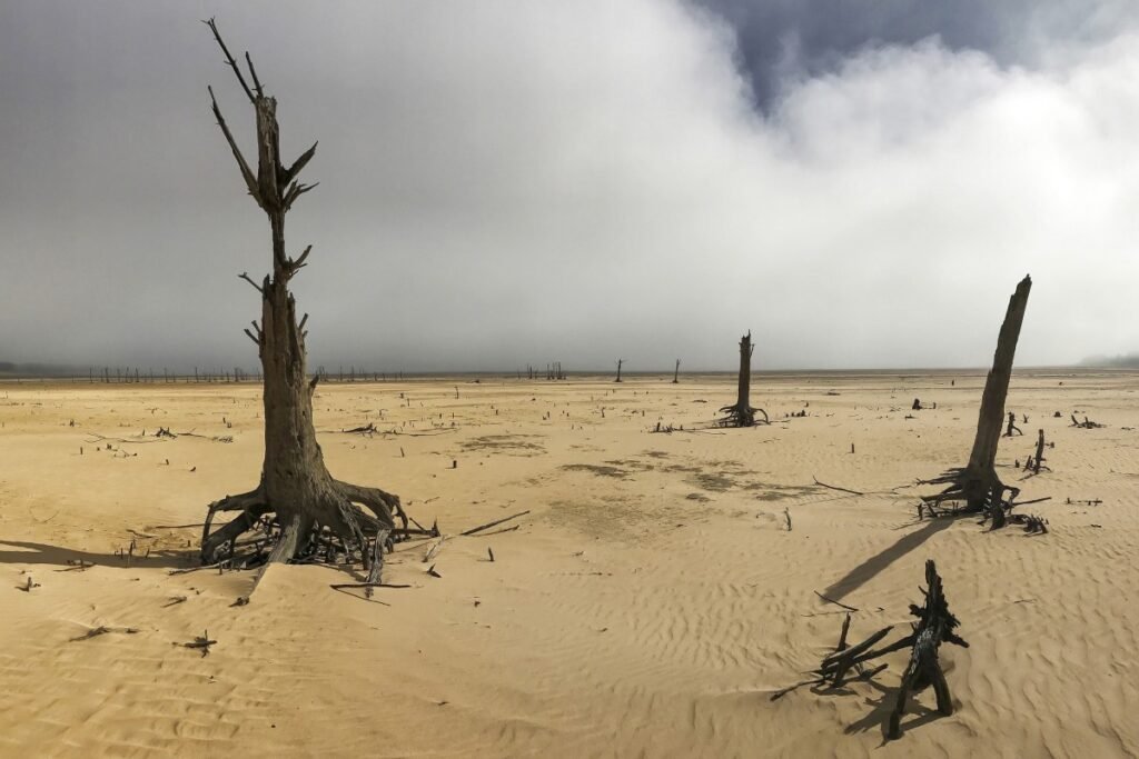 climate change to cause more floods, droughts in future: WB report