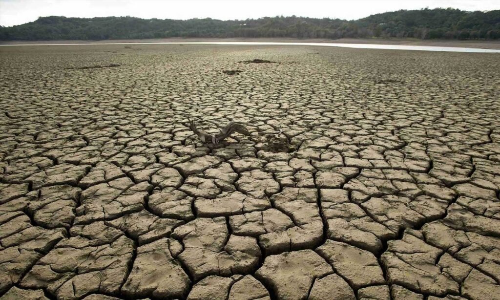 PDMA Warns of Drought in Punjab, Raising Concerns Over Crop Losses