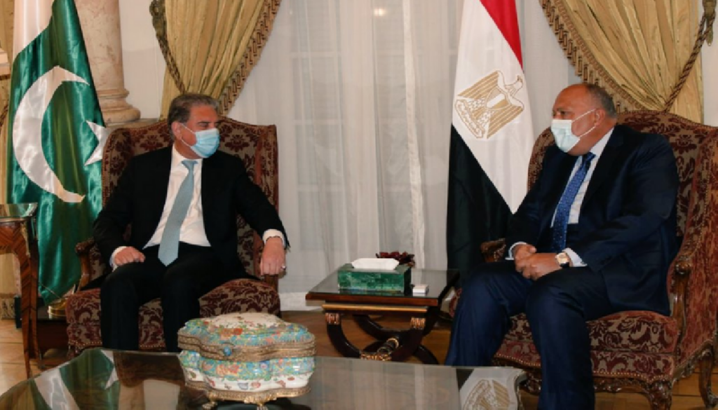 Pakistan to deepen bilateral relations with Egypt: FM Qureshi