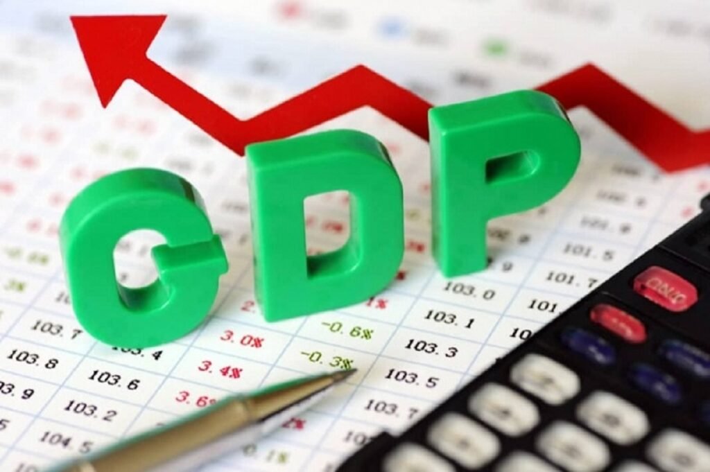 Federal Minister Defend GDP Growth Number