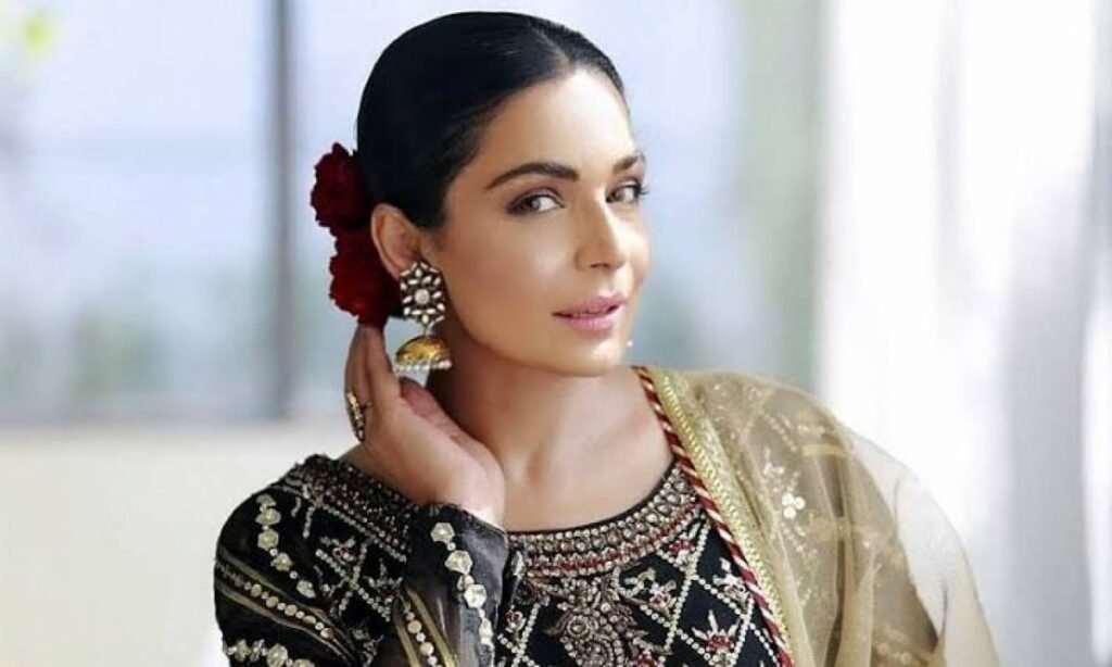 Villains Chasing Heroin: Meera and her family allegedly attacked by armed men in Lahore