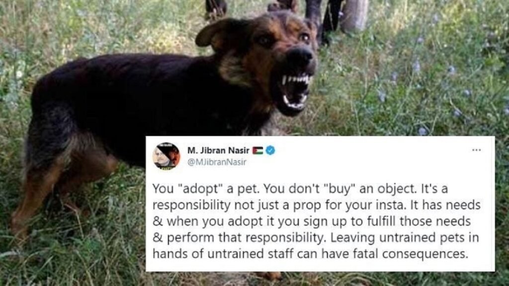 Owner Escapes From Court After Dismissal Of Bail Plea In DHA Karachi Dogs’ Attack Case