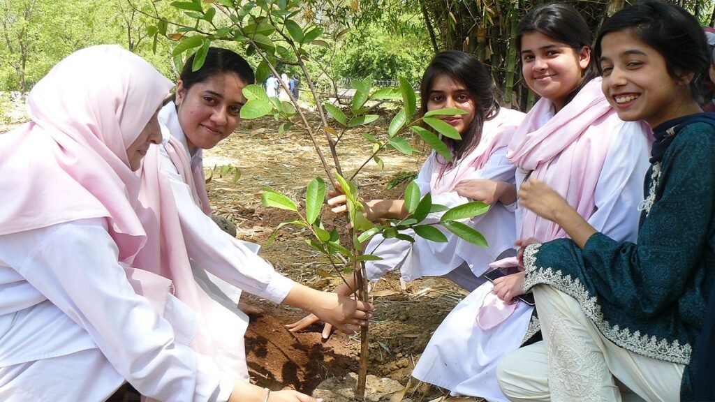 Best Things in Life are Free, 20-20: Students to get 20 marks for planting trees, Zartaj Gul