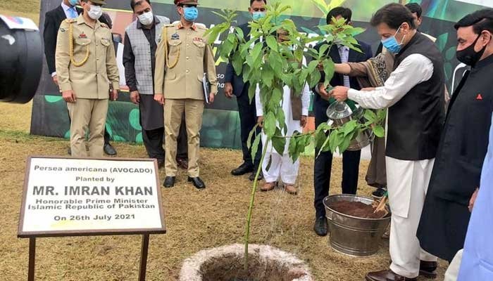 PM Khan kicks off monsoon plantation campaign, urges people to promote green culture