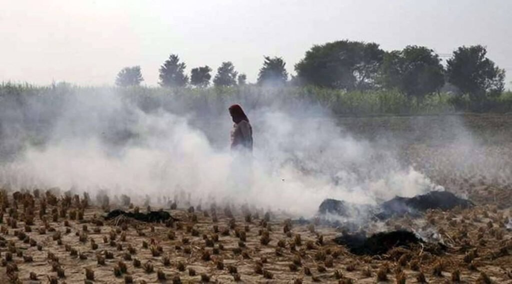 Punjab chokes on air pollution from burning crops, industries