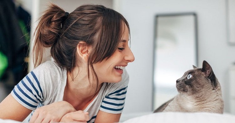 World’s first pet cat to human Covid infection transmission case detected in Thailand