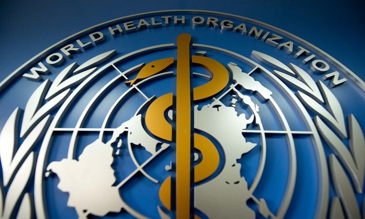 World Health Organization declares highest level health emergency in Pakistan due to devastating floods