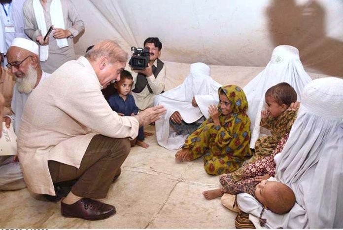 Govt importing 7 million tents for displaced flood victims in 30-45 days: PM Shehbaz