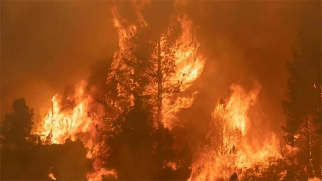 Blazing Crime and Climate Crisis: Arsonist Nabbed in Italy as UN Chief Warns of Boiling Era