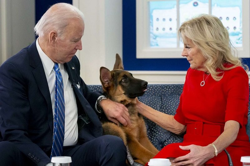 Commander vs commander: Biden’s dog bites US Secret Service agents 11th times