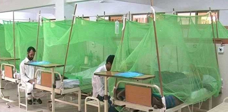 Show-Cause Notices Issued to Civic Bodies Over Dengue Response in Rawalpindi
