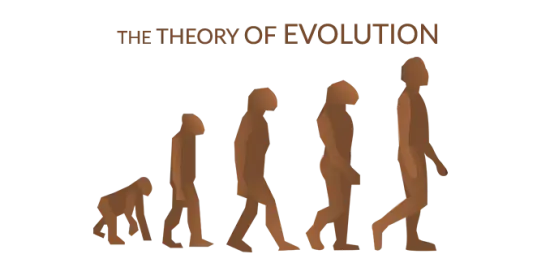  Evolution Theory
