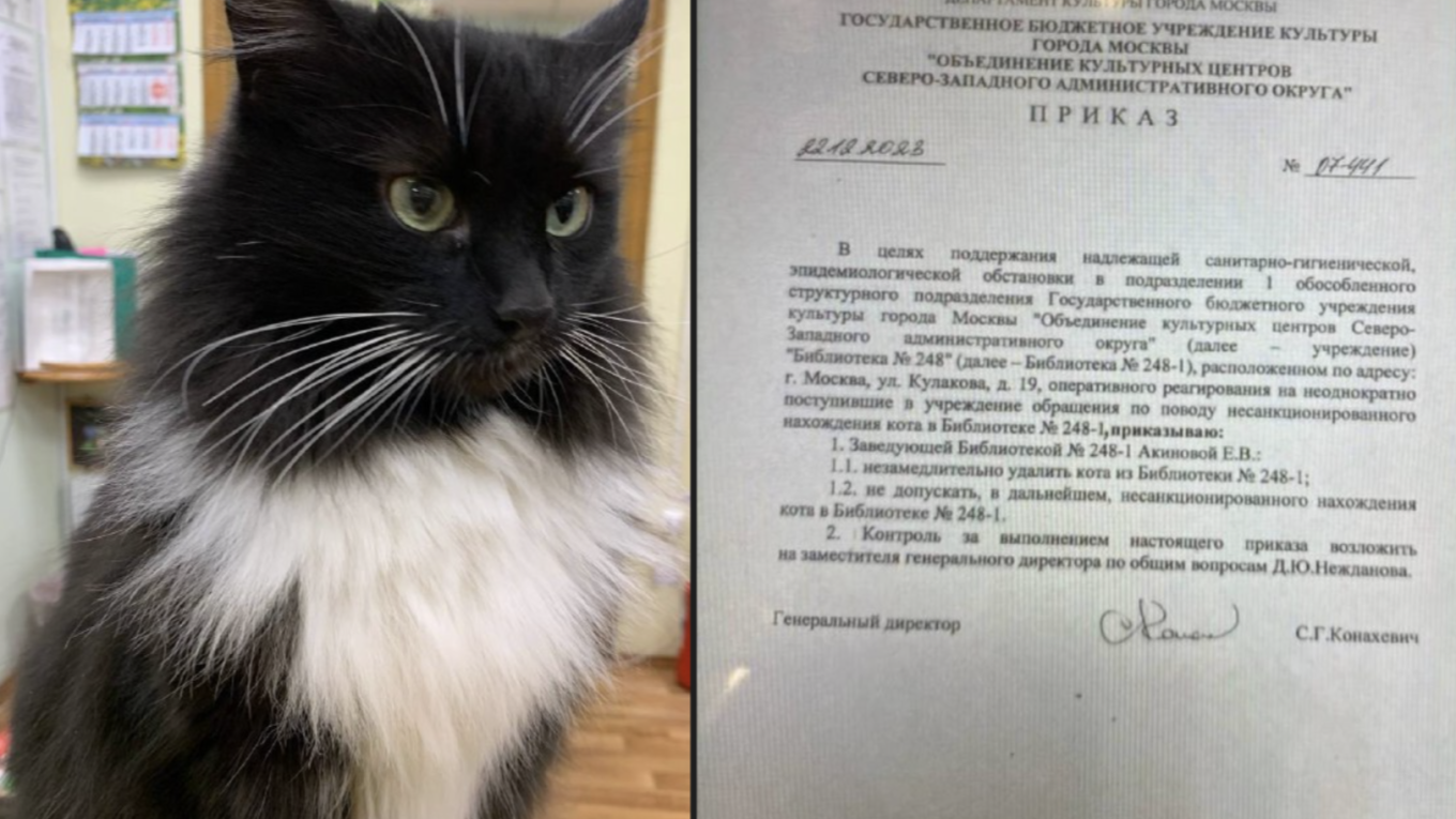 Moscow's library expels its resident cat following a petty complaint