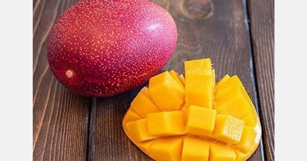 Karachi begins cultivating the world’s most expensive ‘Miyazaki’ Mango