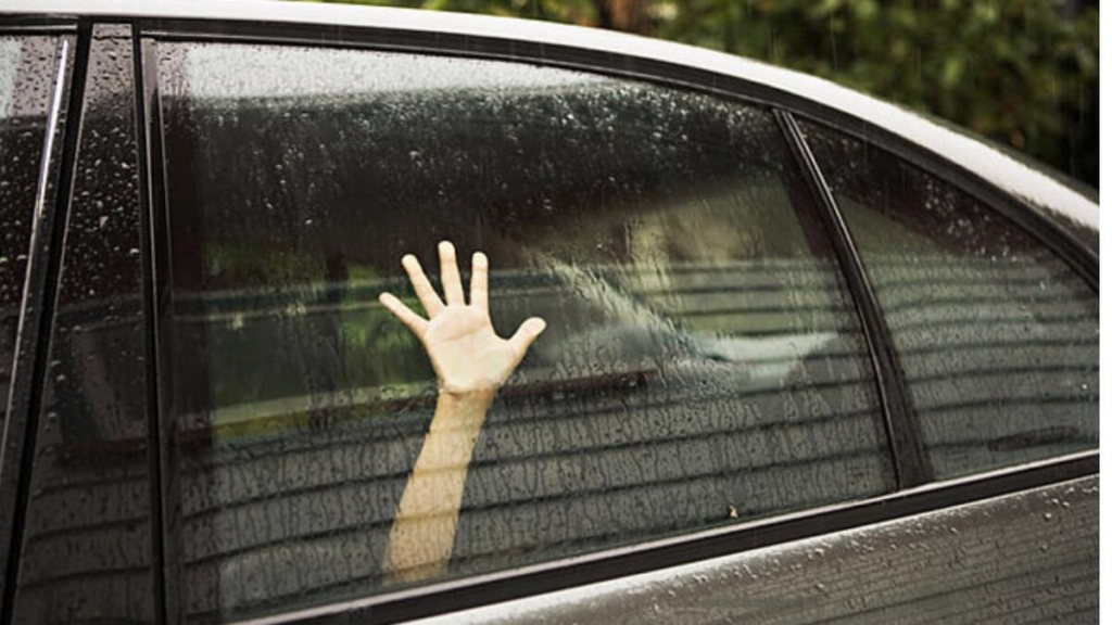 Tragic Incident in Sindh: Two Young Children Suffocate to Death After Being Left Unattended in Locked Car