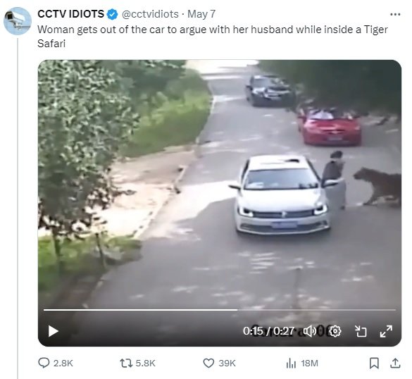 Watch how a tiger punishes a lady who misbehaved with her husband in a Safari Park
