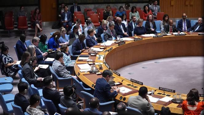 Algeria, China, and Russia Condemn Israel at UNSC Over Haniyeh Assassination