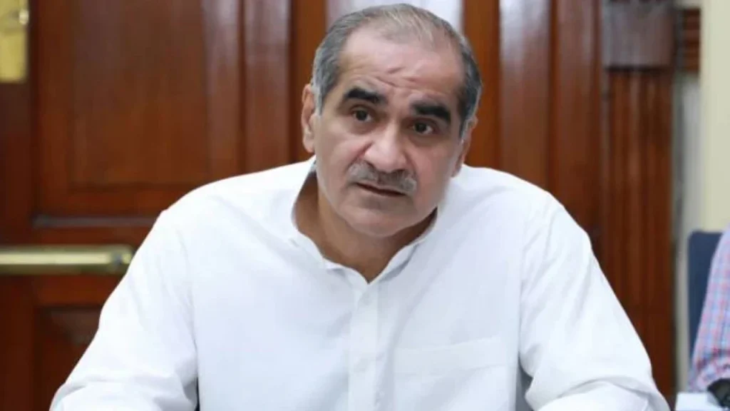 Democracy cannot operate under remote control, says Saad Rafique