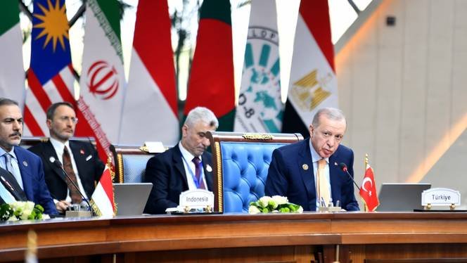Erdogan Calls for Arms Embargo and International Isolation of Israel at D-8 Summit