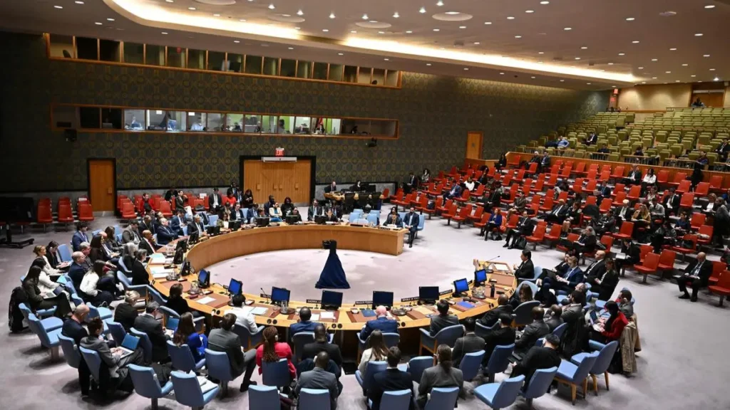 Pakistan Secures Seat in UN Security Council at Critical Time