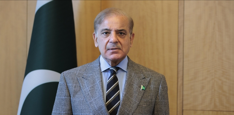 PM Shehbaz Backs Solar Boom, Launches Smart App to Empower Power Consumers