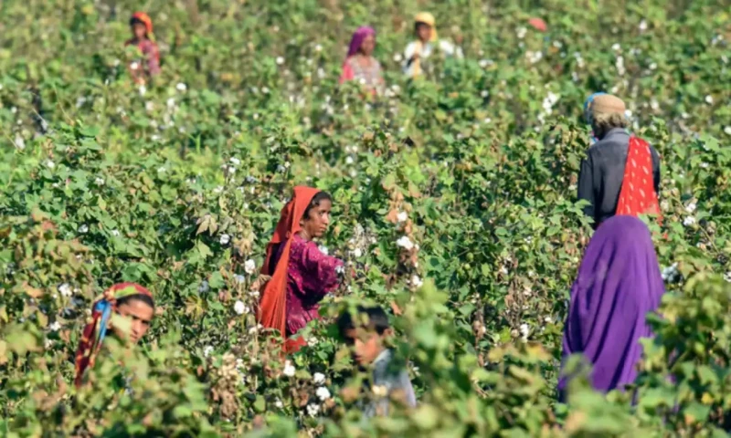 PPP Informs MPAs on Agricultural Tax Implementation in Sindh