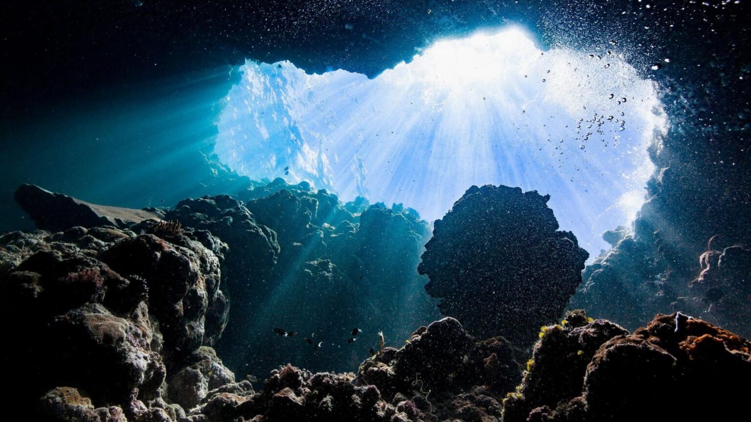 ‘Dark Oxygen’: The Mysterious Deep-Sea Discovery Dividing Scientists