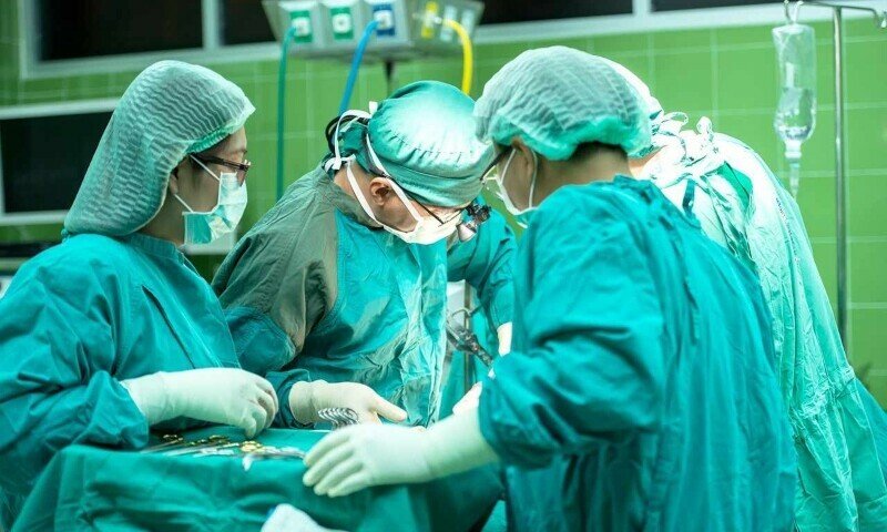 Chinese doctors performed the first-ever pig liver transplant into a brain-dead human