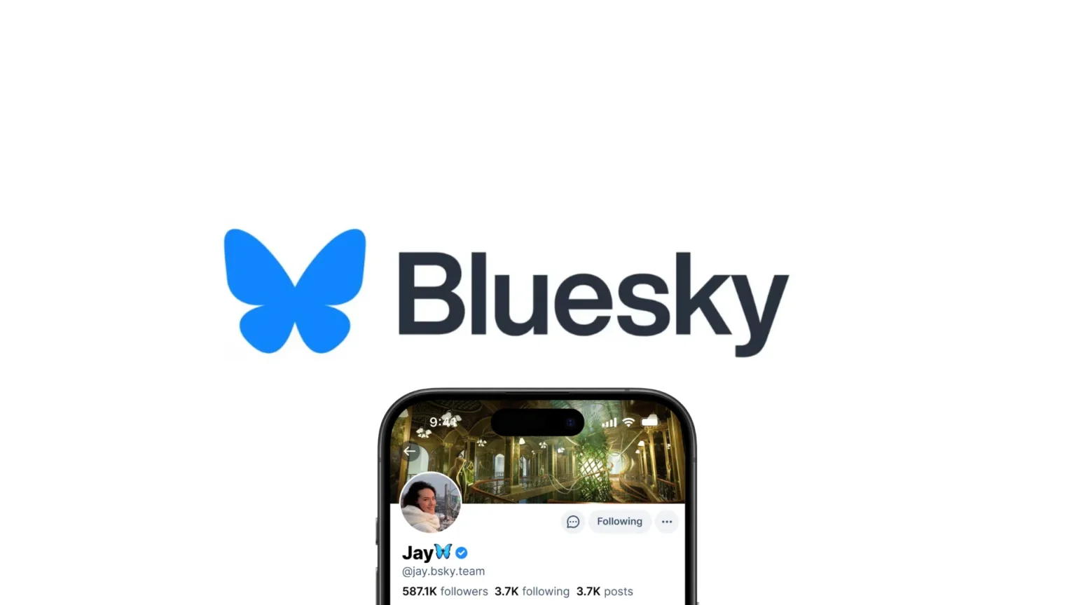 X Rival Bluesky Adds Identity Verification with Blue Checkmarks