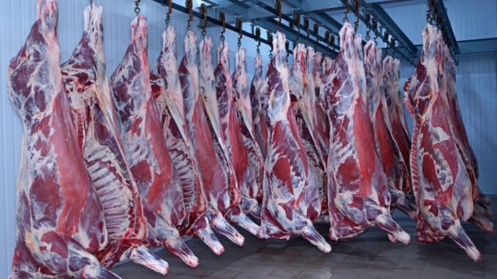 CDA completes feasibility for Islamabad’s modern slaughterhouse, partnering with Saudi firm GO ARAMCO to boost investment and exports.