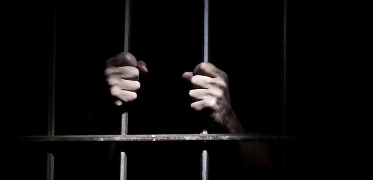 What Led to a Punjab Man’s Prison Sentence Over Chicken Supplies? Sentence Over Chicken