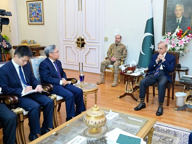 Pahalgam attack: PM Shehbaz Thanks China for Supporting Call for International Probe