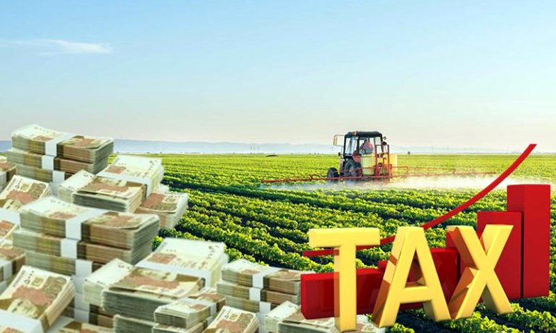 Sindh Government Introduces Super Tax on High Agricultural Incomes Starting 2025