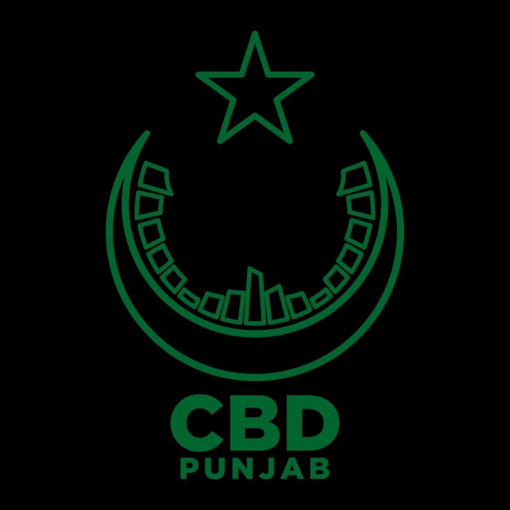 CBD Punjab brings strategic investment opportunity with NSIT Residencia Auction