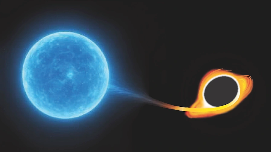 Tiny Star, Giant Planet: Astronomers Baffled by Rare Cosmic Duo