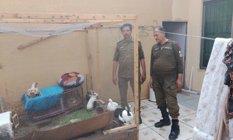 Disturbing Animal Abuse Case Uncovered in Lahore; Social Media Posts Lead to Arrest
