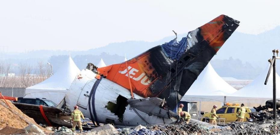 Jeju Air Crash: Investigators Find Pilots Shut Down Wrong Engine After Bird Strike