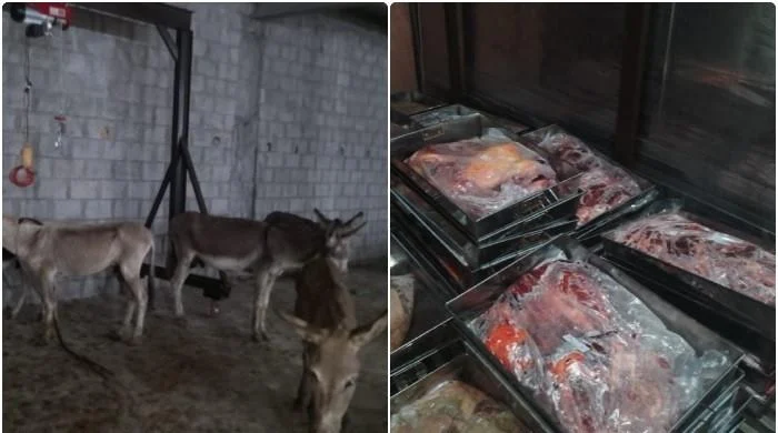 Islamabad Food Authority Seizes 25 Maunds of Donkey Meat in Major Crackdown