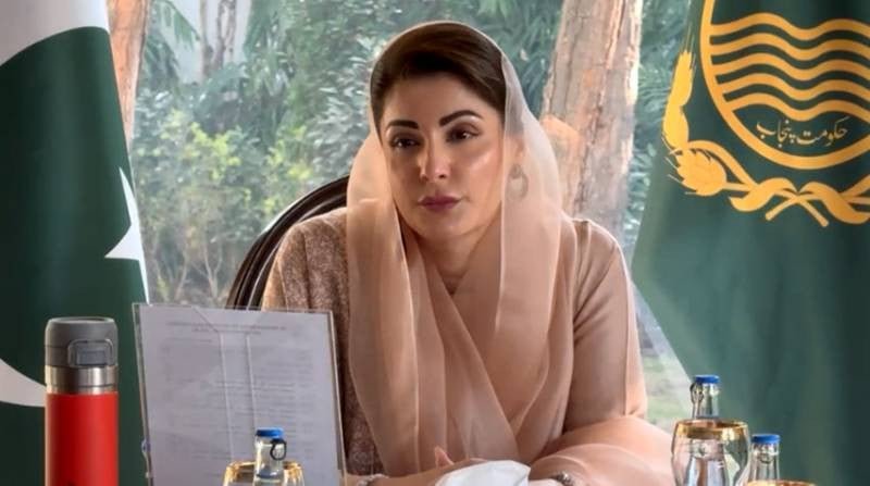 Punjab Strikes Back: Aid for Victims and Hunt for Illegal Lions After Lahore Mauling