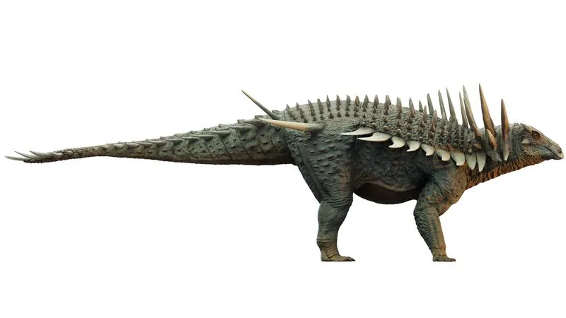 Spicomellus: Bizarre Spiky Dinosaur from Morocco Rewrites Armor Evolution in Prehistoric Times
