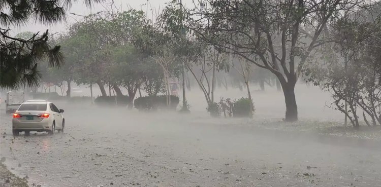 PMD Issues Alert for Heavy Rains and Thundershowers Starting August 17