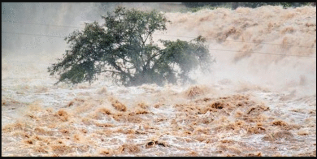 Punjab on High Alert as Monsoon Floods and Indian Dam Releases Raise Alarm India water release floods Sutlej and Ravi