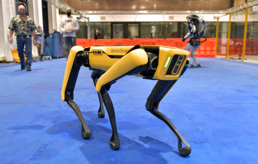 Robot Dog in Mexico Promotes Kindness to Animals on Streets