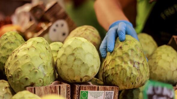 Cherimoya Recognized as One of the World’s Most Nutritious Fruits