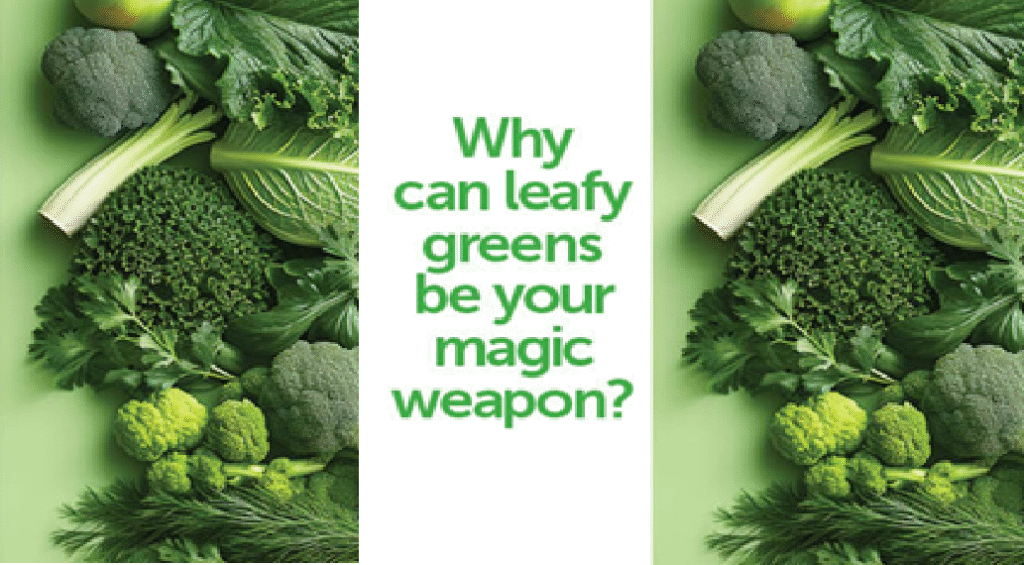 Leafy Greens Offer Powerful Health Benefits for Heart, Brain, and Digestion Health benefits of leafy greens