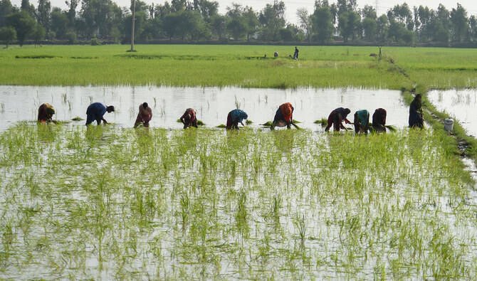 Punjab Announces Rs 20,000 per Acre Compensation for Flood‑Damaged Crops Amid Rain Alert