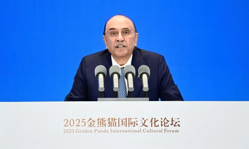 President Zardari Urges Stronger Cultural Ties Between Pakistan and China at Chengdu Forum