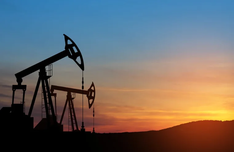 PPL Clarifies Reports of Artificial Island Construction for Offshore Drilling Near Sindh PPL rejects claims of artificial island construction near Sujawal, clarifying the project supports drilling in difficult marshland terrain.